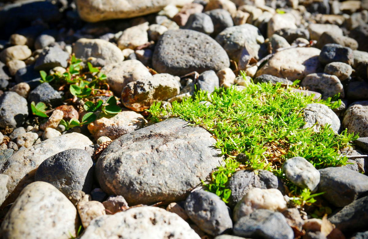 Gravier et petites pierres