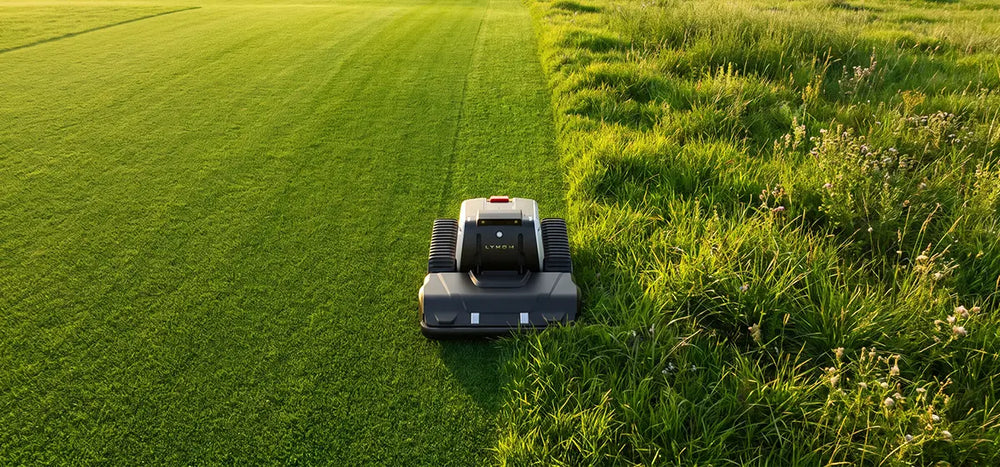 Herbe dense et haute