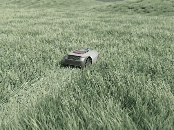 Coupe comme un jouet